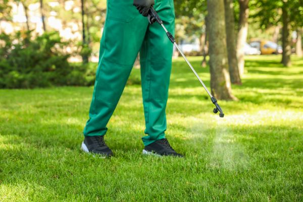 Panama City Beach Lawn Treatment