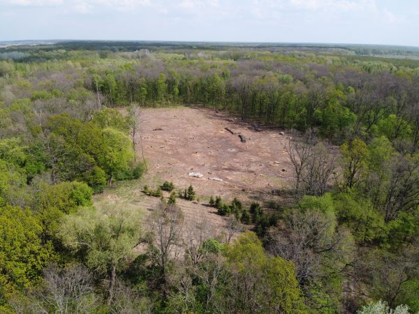 Panama City Beach Land Clearing